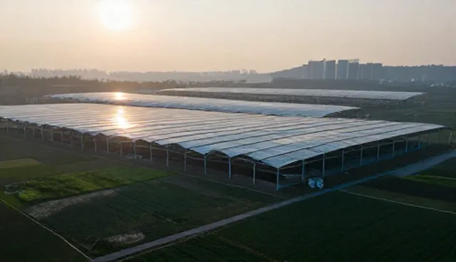 媒介投放中性能优化的适用场景与限制
